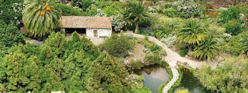 Canarias teme perder «gran parte» de la biodiversidad que se refugió en las islas